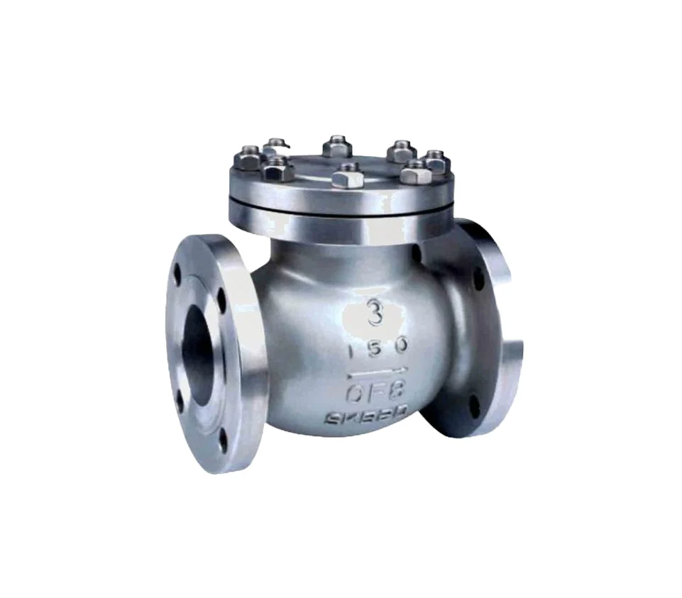 LB Stainless Steel CF Swing Check Valve