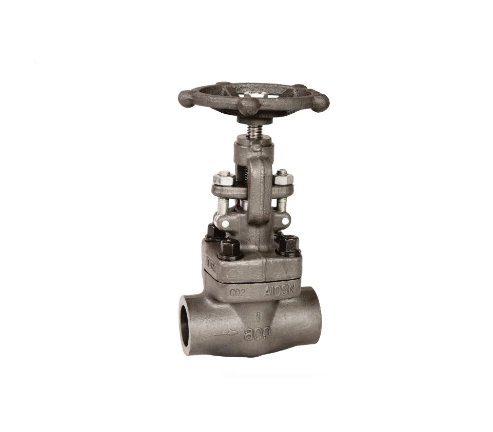 a lb npt sw end forged globe valve