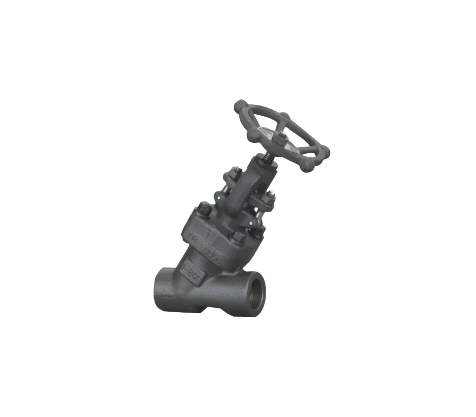a Y Globe Valve