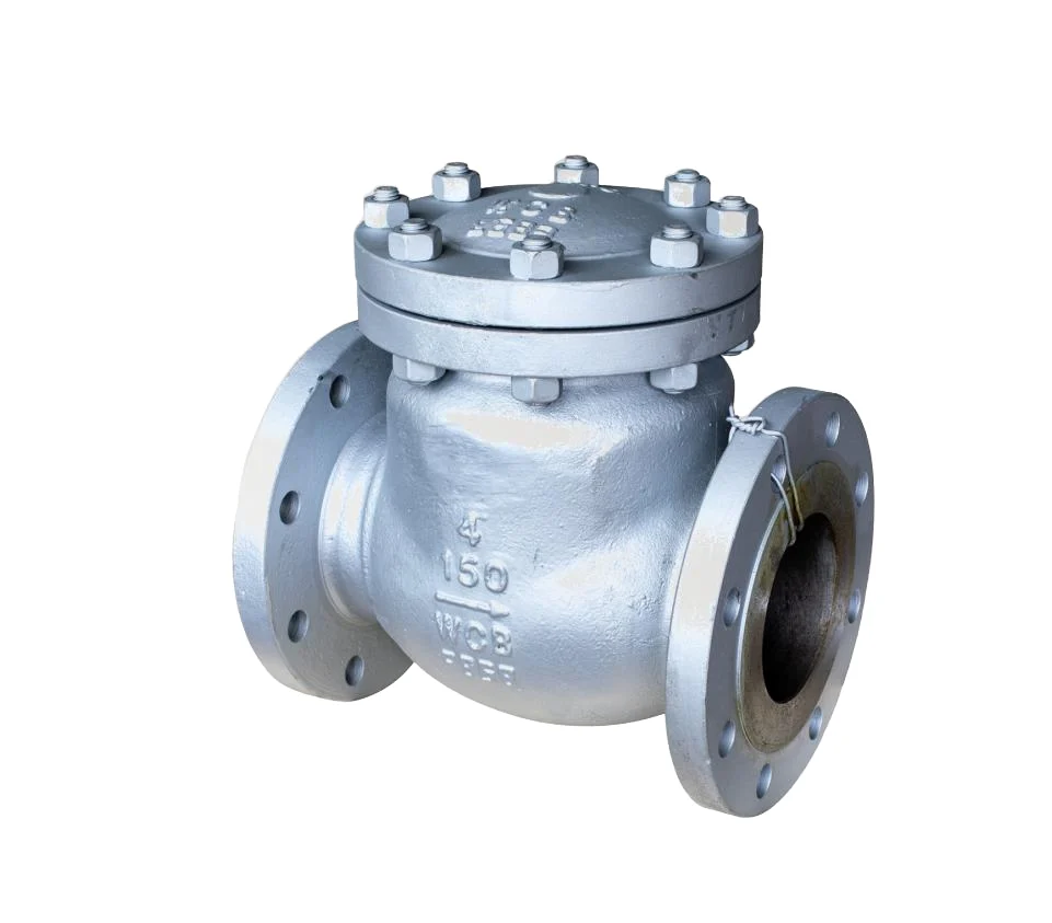ANSI CARBON STEEL WCB SWING CHECK VALVES