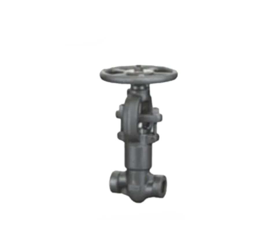 forged a Self sealing high pressure globe valve ()