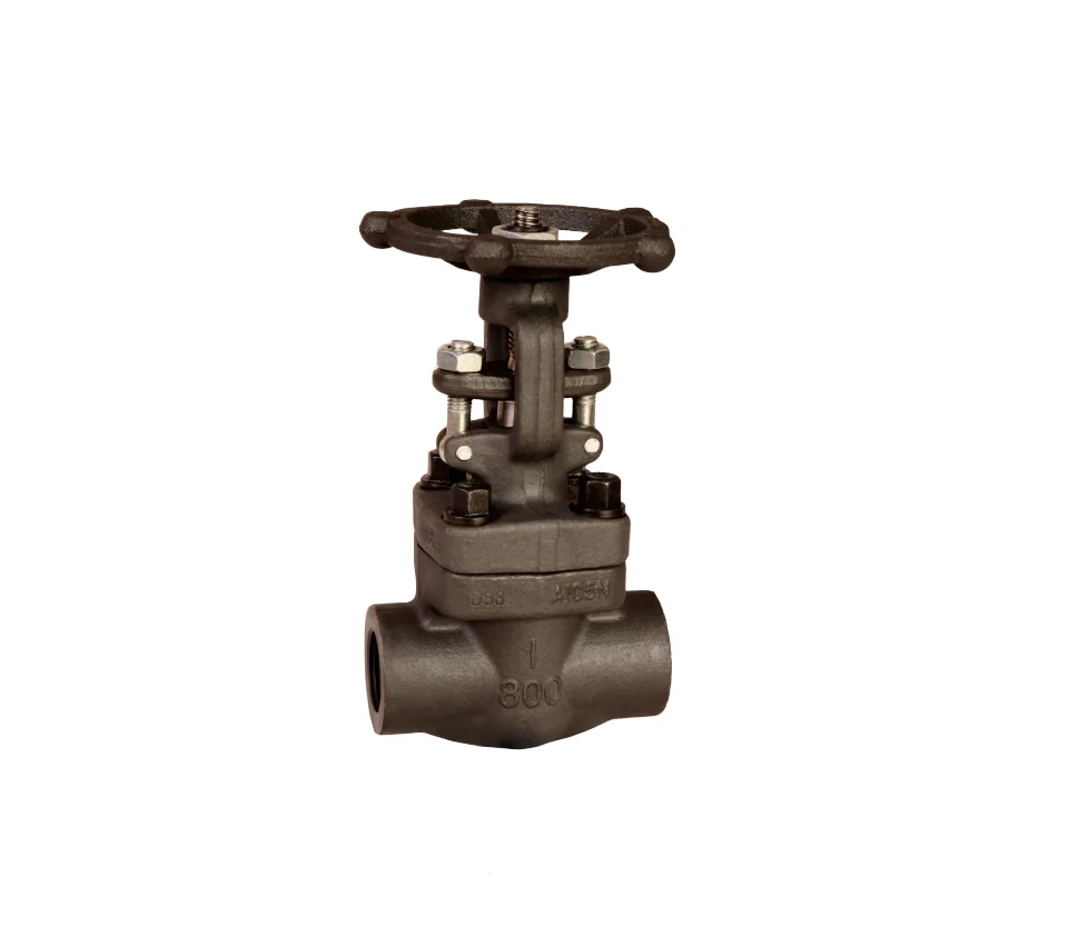 FORGED GATE VALVE BB OSY A LB