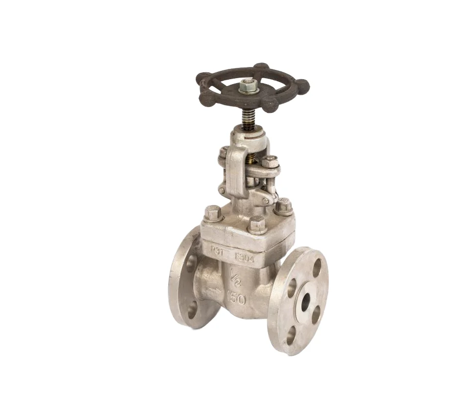 forged stainless steel SS LB RF flanged globe valve
