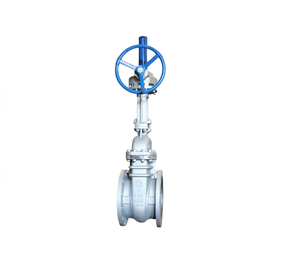 Gear operated Carbon Steel Gate Valves