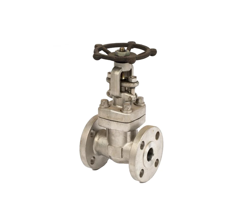 stainless steel flange gate valves